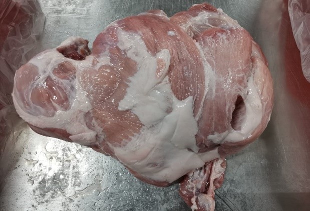 PIERNA DESHUESADA CERDO. BLOCK AMERICANA