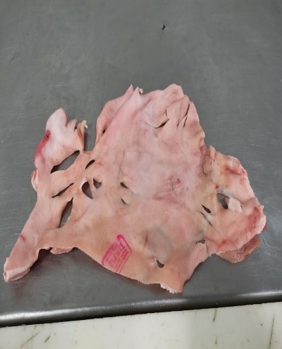 CUERO CON LONJA DE PIERNA AMERICANO